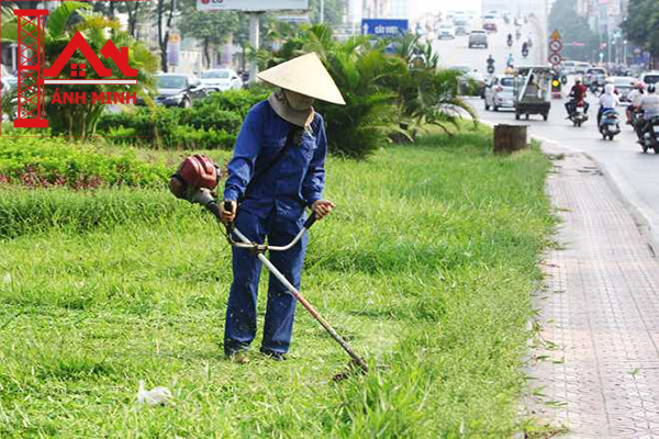 mua bán và cho thuê máy cắt cỏ hồ tràm, xuyên mộc